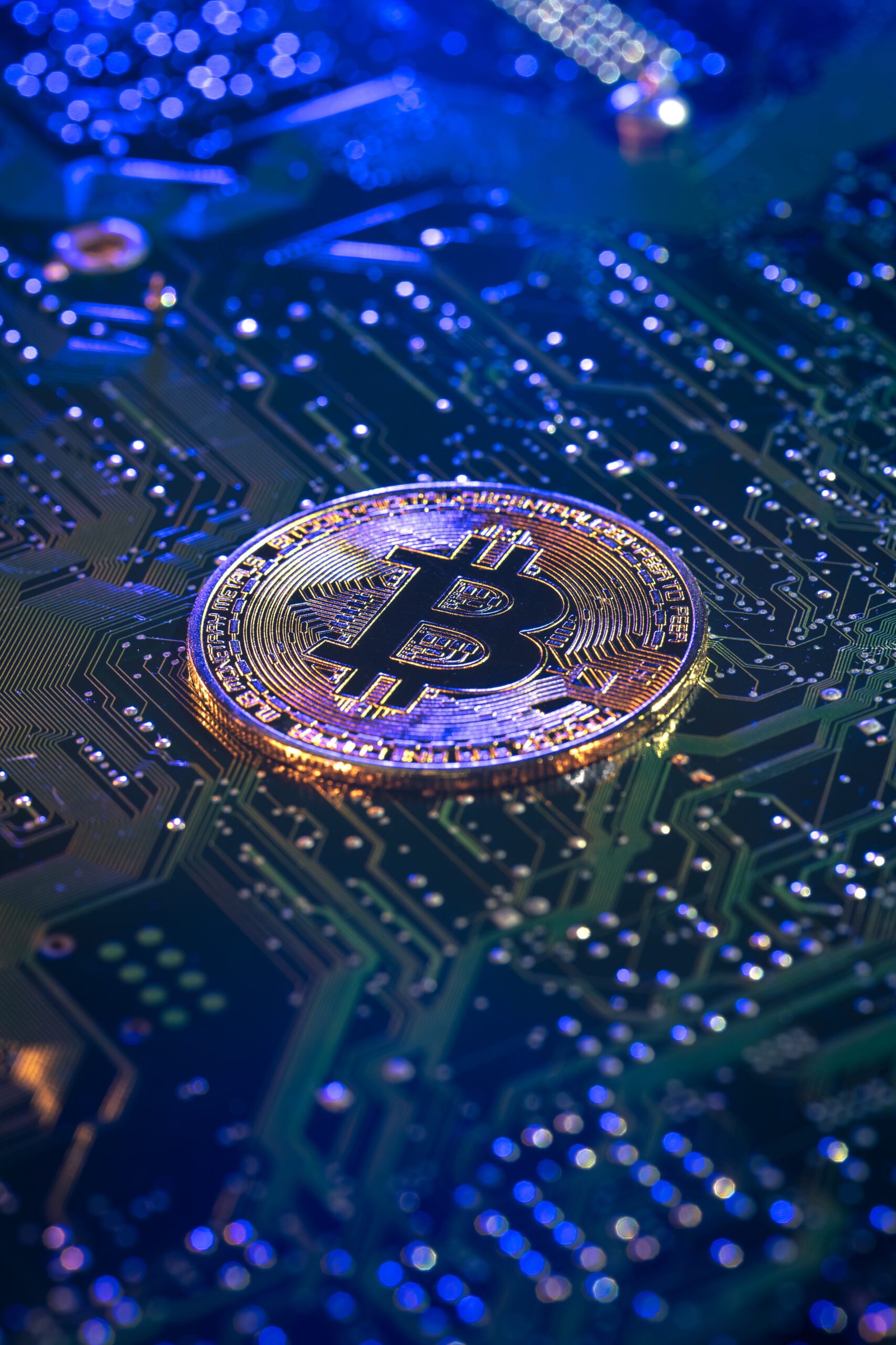 The Professional Guide to Buying Crypto with Zero Fees in 2026